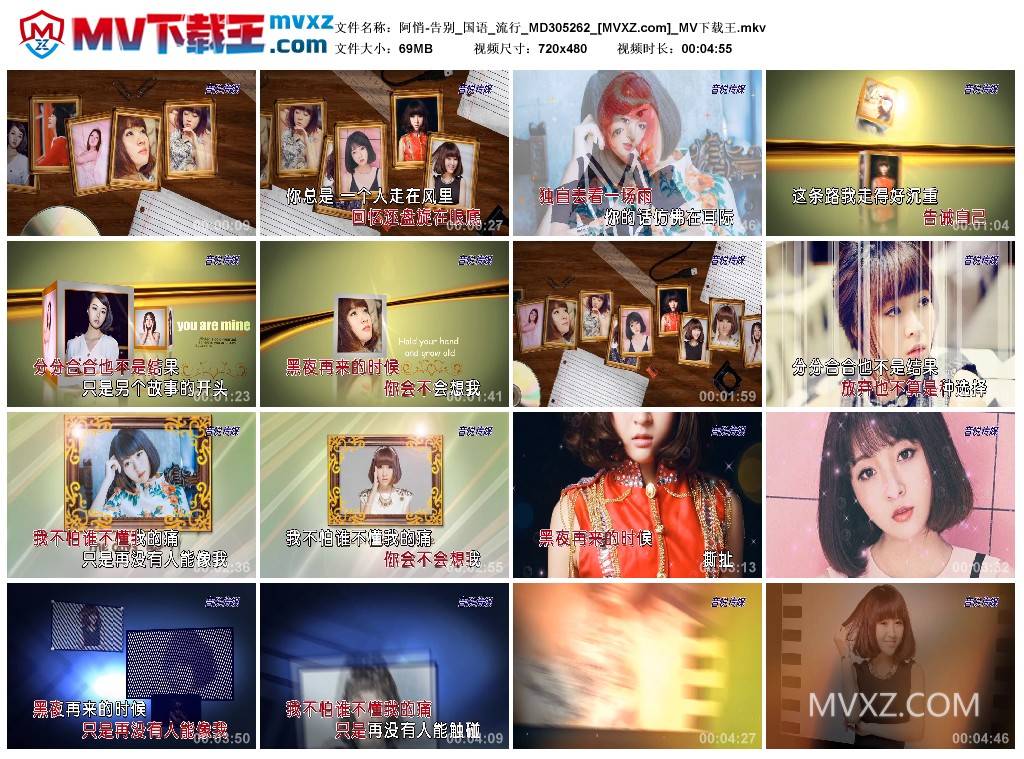 阿悄-告别_国语_流行_MD305262